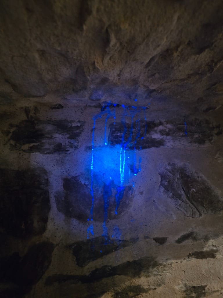 Recherche de fuite et infiltration à Charvieu-Chavagneux (38230)