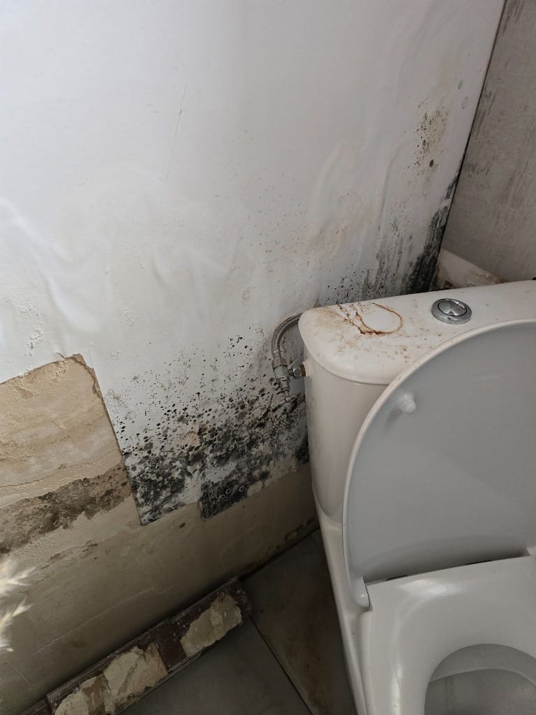 Recherche de fuite et diagnostic d'infiltration à Limas (69400)